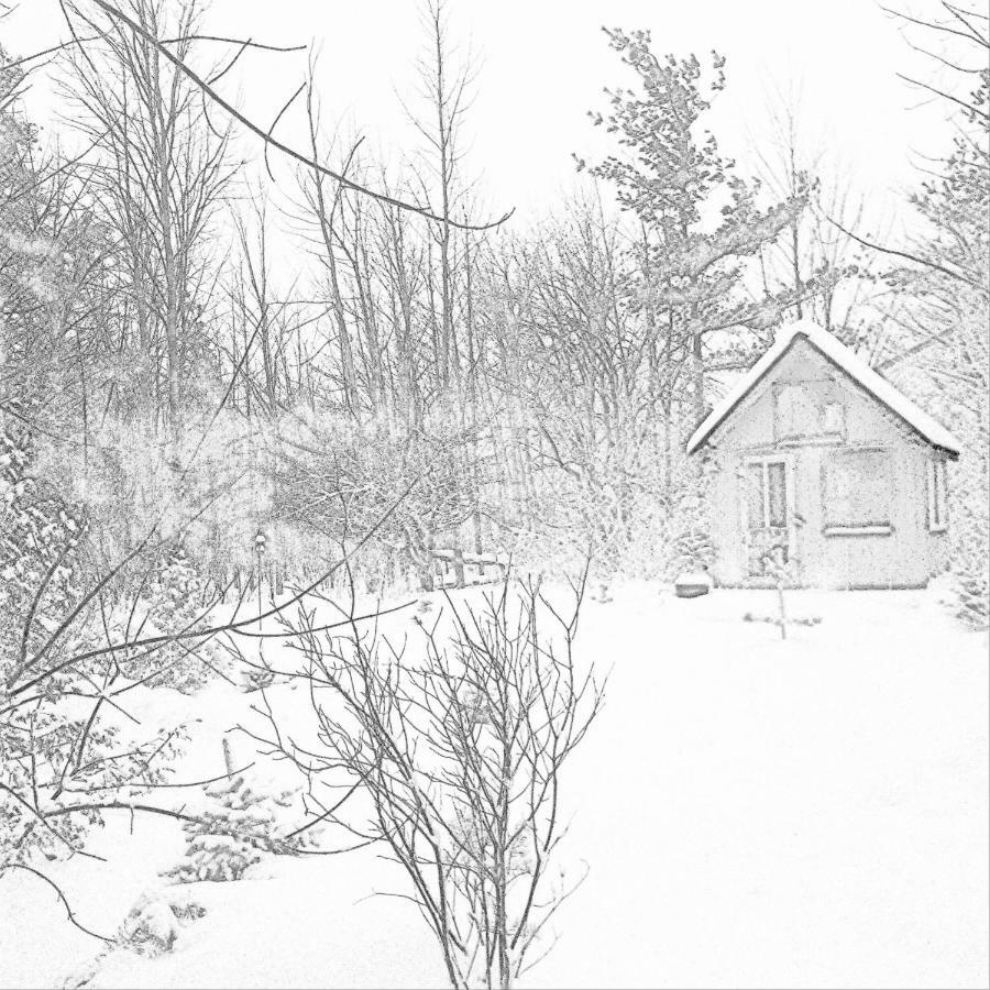 The Retreat House Blue Mountain Hotel Blue Mountains Exterior photo